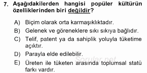 Medya Siyaset Kültür 2015 - 2016 Tek Ders Sınavı 7.Soru