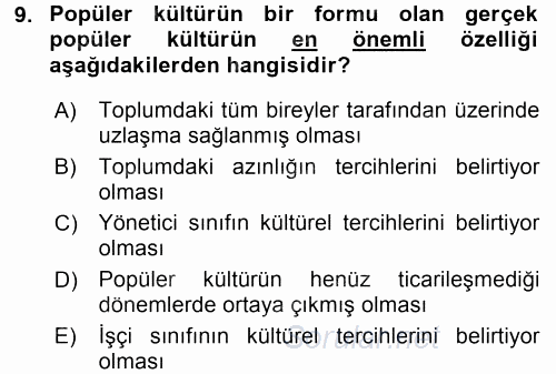 Medya Siyaset Kültür 2015 - 2016 Tek Ders Sınavı 9.Soru