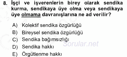 Çalışma İlişkileri 2015 - 2016 Dönem Sonu Sınavı 8.Soru