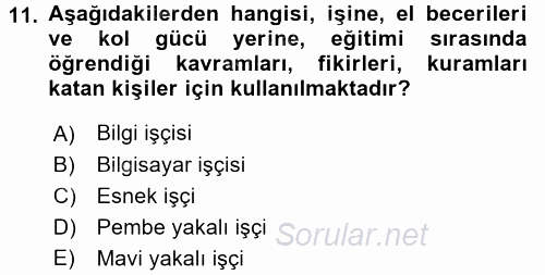 Çalışma Sosyolojisi 2016 - 2017 Ara Sınavı 11.Soru