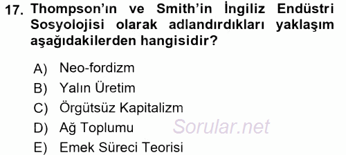 Çalışma Sosyolojisi 2016 - 2017 Ara Sınavı 17.Soru