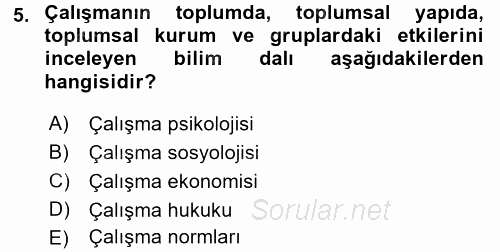 Çalışma Sosyolojisi 2016 - 2017 Ara Sınavı 5.Soru