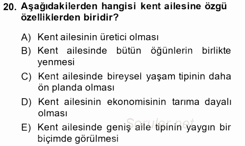 Toplumsal Yaşamda Aile 2014 - 2015 Tek Ders Sınavı 20.Soru
