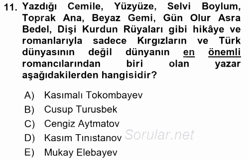 Çağdaş Türk Edebiyatları 2 2015 - 2016 Tek Ders Sınavı 11.Soru