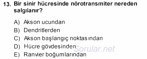 Psikoloji 2013 - 2014 Ara Sınavı 13.Soru