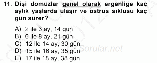 Hayvan Davranışları ve Refahı 2012 - 2013 Ara Sınavı 11.Soru