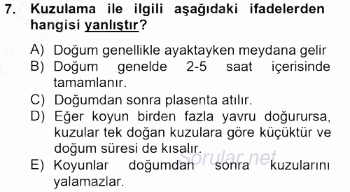 Hayvan Davranışları ve Refahı 2012 - 2013 Ara Sınavı 7.Soru