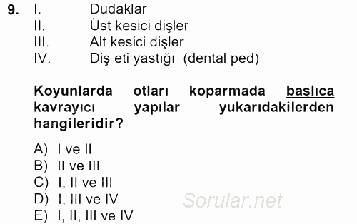 Hayvan Davranışları ve Refahı 2012 - 2013 Ara Sınavı 9.Soru