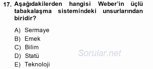 Çalışma Sosyolojisi 2014 - 2015 Ara Sınavı 17.Soru
