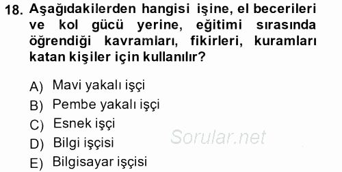 Çalışma Sosyolojisi 2014 - 2015 Ara Sınavı 18.Soru