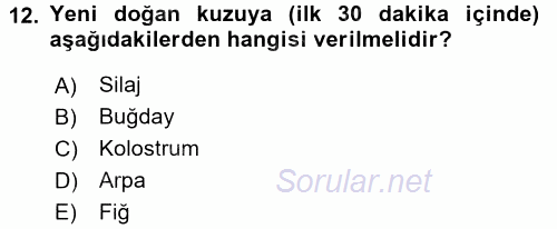 Temel Yem Bilgisi ve Hayvan Besleme 2015 - 2016 Dönem Sonu Sınavı 12.Soru