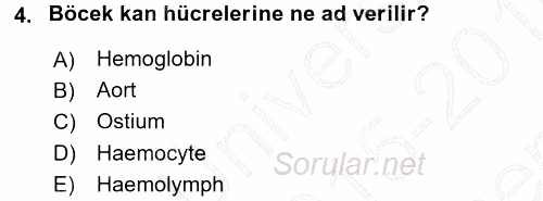 Entomoloji 2015 - 2016 Dönem Sonu Sınavı 4.Soru