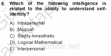 Yabancı Dil Öğretiminde Ölçme Ve Değerlendirme 1 2014 - 2015 Ara Sınavı 8.Soru