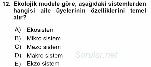 Özel Gereksinimli Bireyler ve Bakım Hizmetleri 2017 - 2018 Ara Sınavı 12.Soru