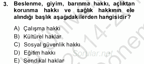 İnsan Hakları ve Demokratikleşme Süreci 2014 - 2015 Dönem Sonu Sınavı 3.Soru