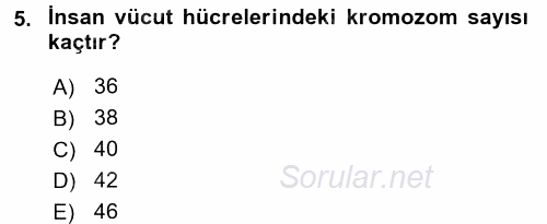 Okulöncesinde Fen Eğitimi 2017 - 2018 Ara Sınavı 5.Soru