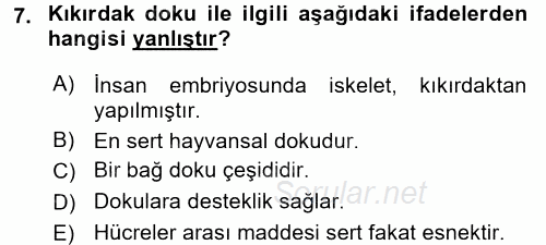 Okulöncesinde Fen Eğitimi 2017 - 2018 Ara Sınavı 7.Soru