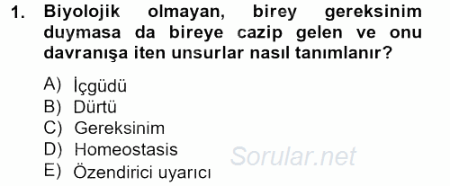 Birey ve Davranış 2012 - 2013 Ara Sınavı 1.Soru