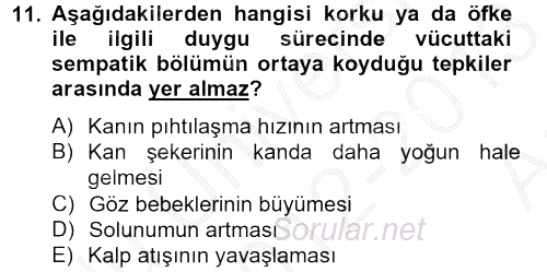 Birey ve Davranış 2012 - 2013 Ara Sınavı 11.Soru
