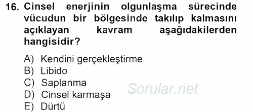 Birey ve Davranış 2012 - 2013 Ara Sınavı 16.Soru