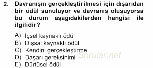 Birey ve Davranış 2012 - 2013 Ara Sınavı 2.Soru