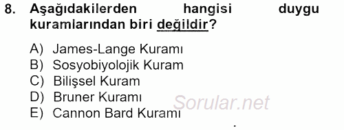 Birey ve Davranış 2012 - 2013 Ara Sınavı 8.Soru