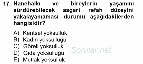 Gelir Dağılımı ve Yoksulluk 2013 - 2014 Tek Ders Sınavı 17.Soru