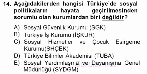Topluma Hizmet Eğitimi 2012 - 2013 Ara Sınavı 14.Soru
