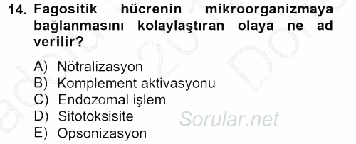 Temel Veteriner Mikrobiyoloji ve İmmünoloji 2012 - 2013 Dönem Sonu Sınavı 14.Soru