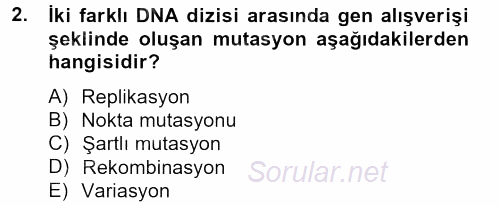 Temel Veteriner Mikrobiyoloji ve İmmünoloji 2012 - 2013 Dönem Sonu Sınavı 2.Soru