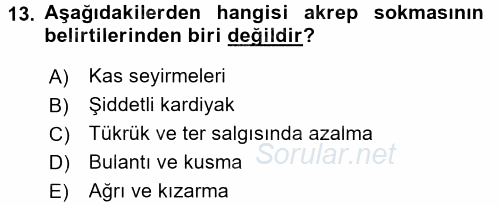 Temel İlk Yardım Bilgisi 2016 - 2017 3 Ders Sınavı 13.Soru