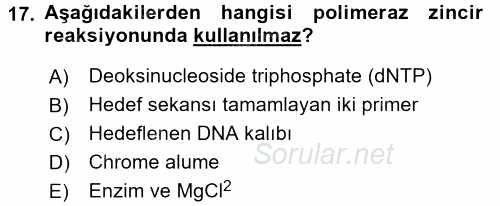 Temel Veteriner Patoloji 2016 - 2017 Ara Sınavı 17.Soru