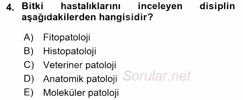 Temel Veteriner Patoloji 2016 - 2017 Ara Sınavı 4.Soru