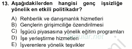 Sosyal Politika 2 2012 - 2013 Ara Sınavı 13.Soru