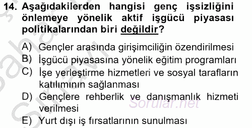 Sosyal Politika 2 2012 - 2013 Ara Sınavı 14.Soru