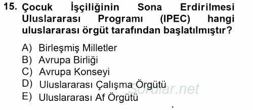 Sosyal Politika 2 2012 - 2013 Ara Sınavı 15.Soru