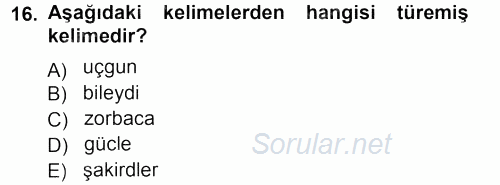 Çağdaş Türk Yazı Dilleri 1 2012 - 2013 Ara Sınavı 16.Soru