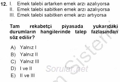Çalışma Ekonomisi 1 2015 - 2016 Dönem Sonu Sınavı 12.Soru