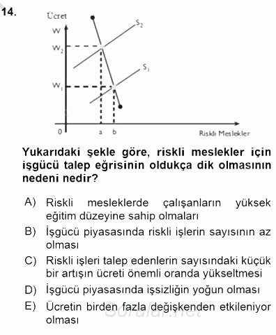 Çalışma Ekonomisi 1 2015 - 2016 Dönem Sonu Sınavı 14.Soru