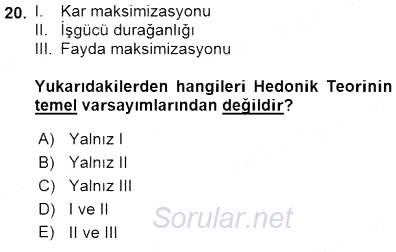 Çalışma Ekonomisi 1 2015 - 2016 Dönem Sonu Sınavı 20.Soru