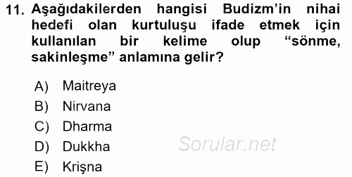 Yaşayan Dünya Dinleri 2017 - 2018 Ara Sınavı 11.Soru