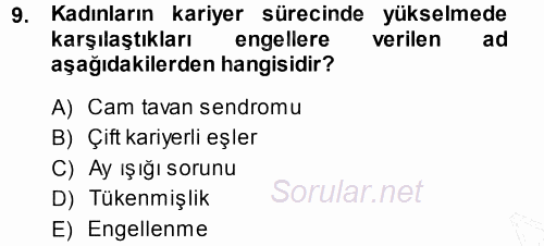 Performans ve Kariyer Yönetimi 2013 - 2014 Dönem Sonu Sınavı 9.Soru