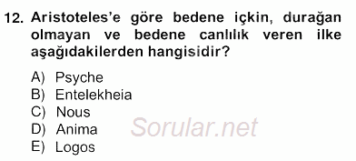 Zihin Felsefesi 2013 - 2014 Ara Sınavı 12.Soru