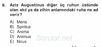 Zihin Felsefesi 2013 - 2014 Ara Sınavı 9.Soru