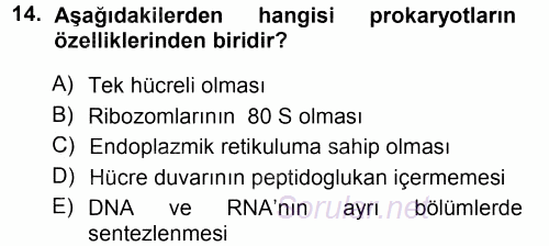 Fitopatoloji 2014 - 2015 Tek Ders Sınavı 14.Soru