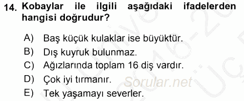 Laboratuvar Hayvanlarını Yetiştirme ve Sağlığı 2016 - 2017 3 Ders Sınavı 14.Soru