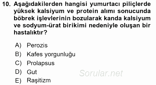 Temel Yem Bilgisi ve Hayvan Besleme 2017 - 2018 3 Ders Sınavı 10.Soru