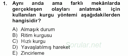 Film ve Video Kültürü 2012 - 2013 Ara Sınavı 1.Soru