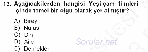 Film ve Video Kültürü 2012 - 2013 Ara Sınavı 13.Soru