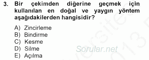 Film ve Video Kültürü 2012 - 2013 Ara Sınavı 3.Soru